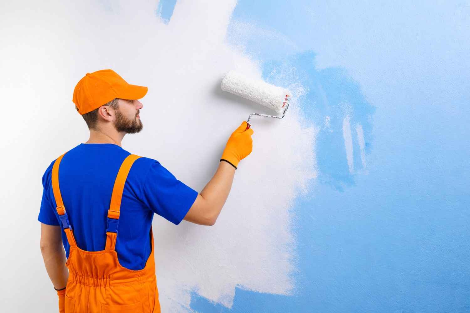 Professional Painting Services in dc